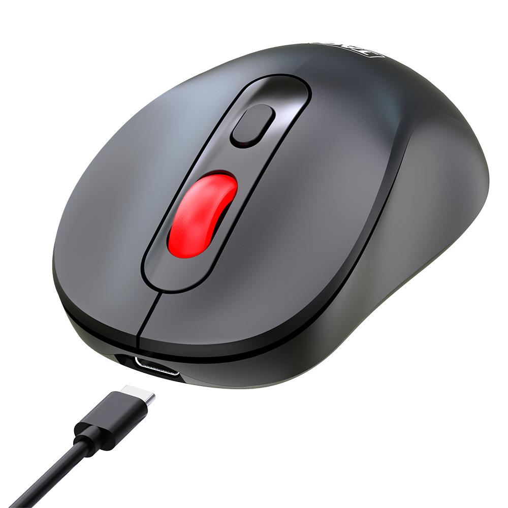 Wireless Mouse WM6000